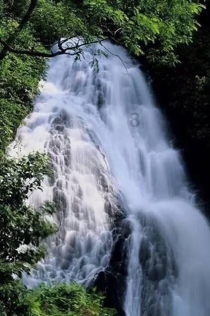 快手本地生活 酒旅观察
